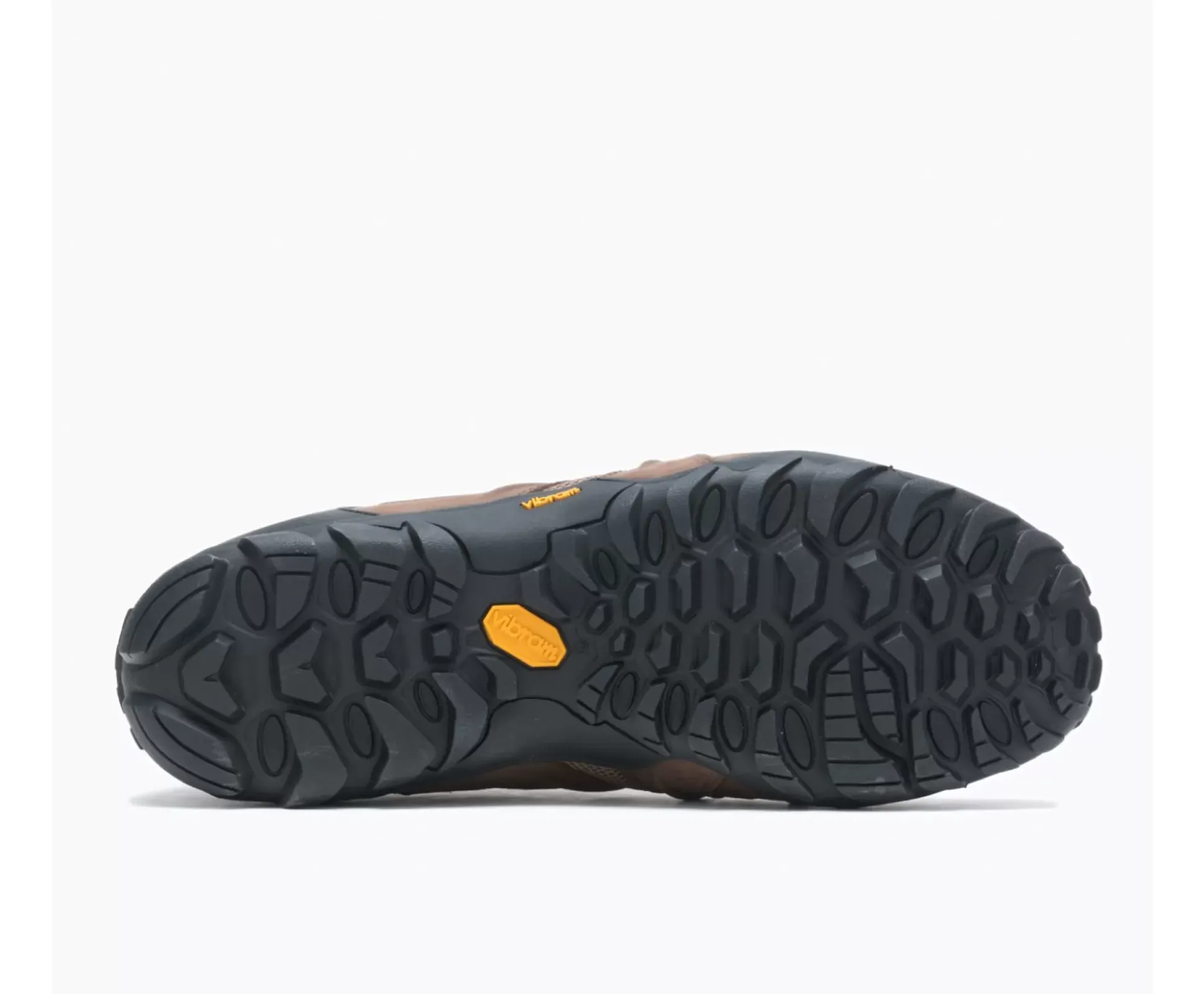 Chameleon 8 Stretch