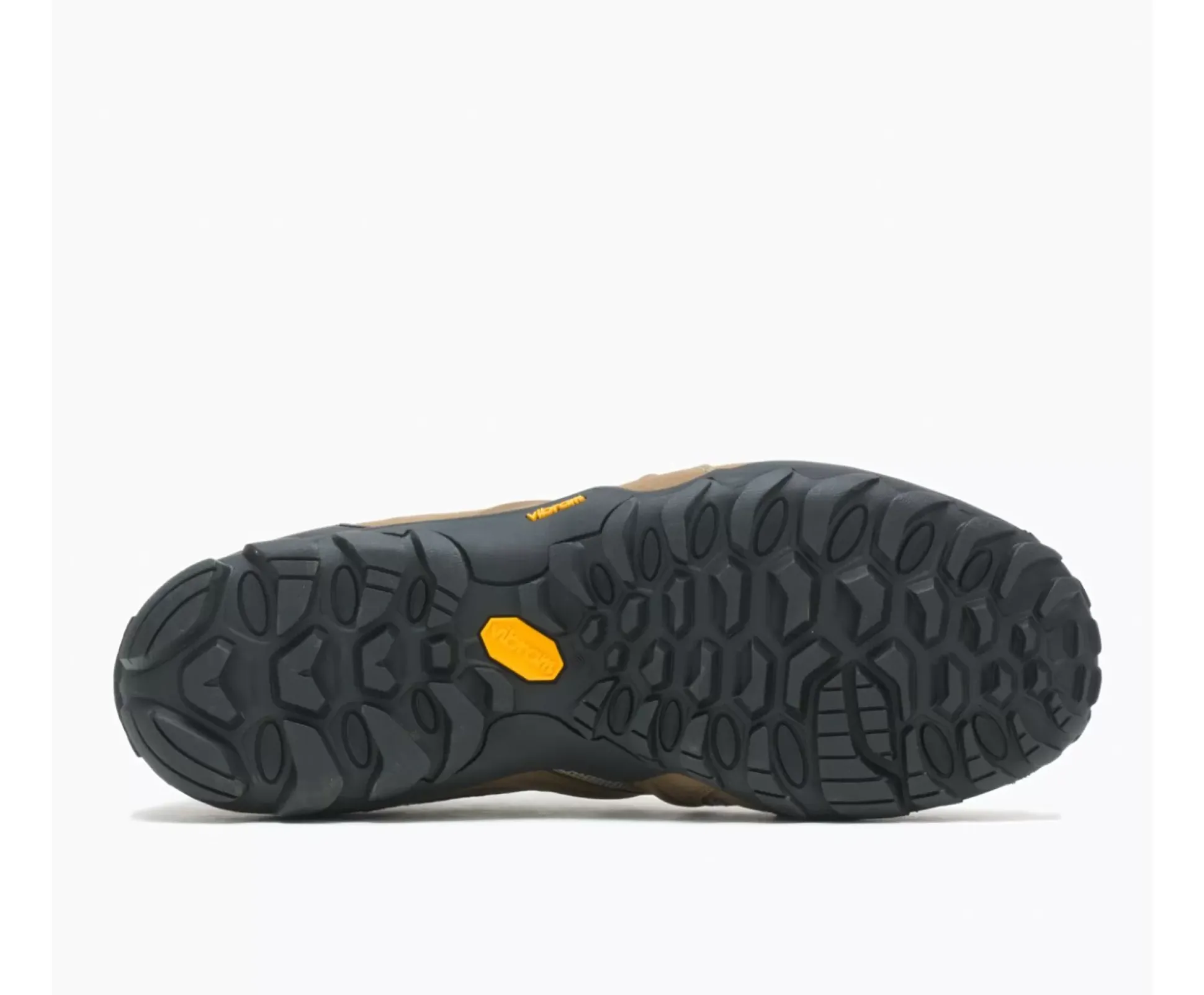 Chameleon 8 Stretch