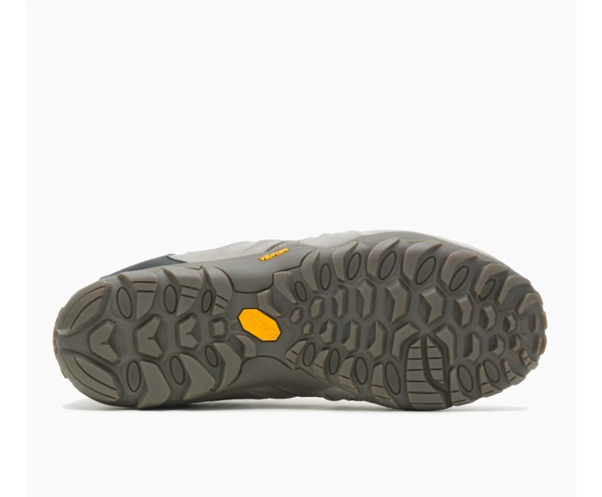 Chameleon 8 Stretch