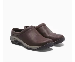 Encore Nova 4