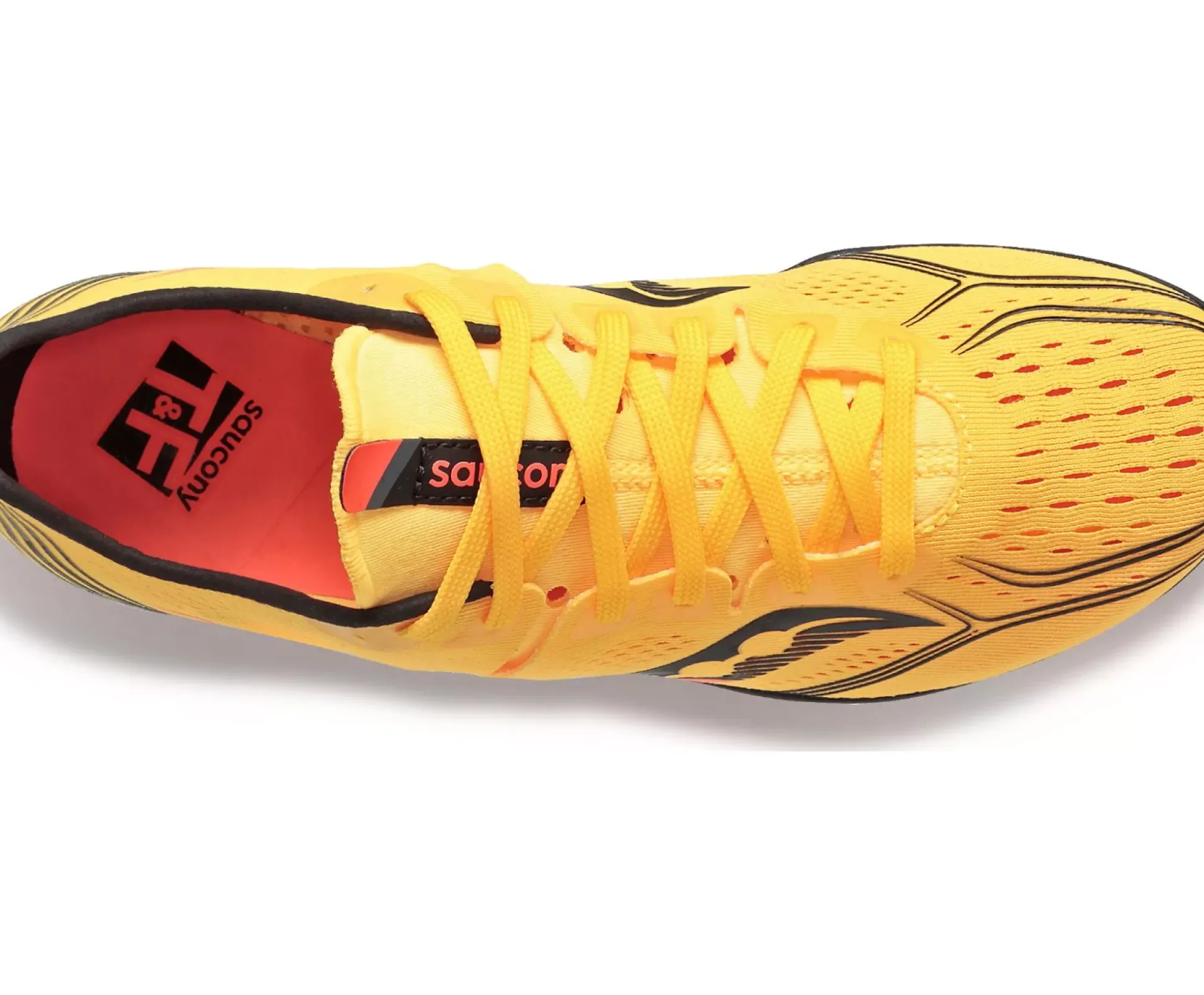 Endorphin 3 Spike