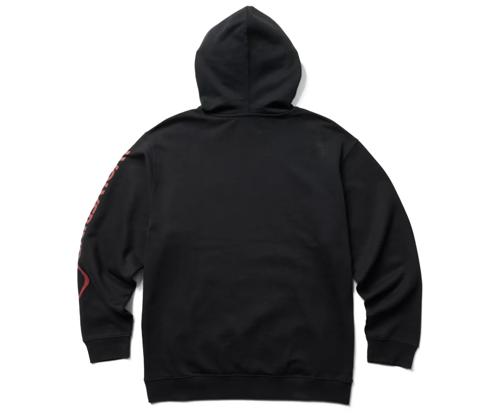 Graphic Hoody- Sleeve Logo