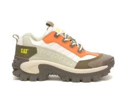 Intruder Shoe