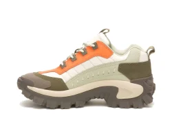 Intruder Shoe