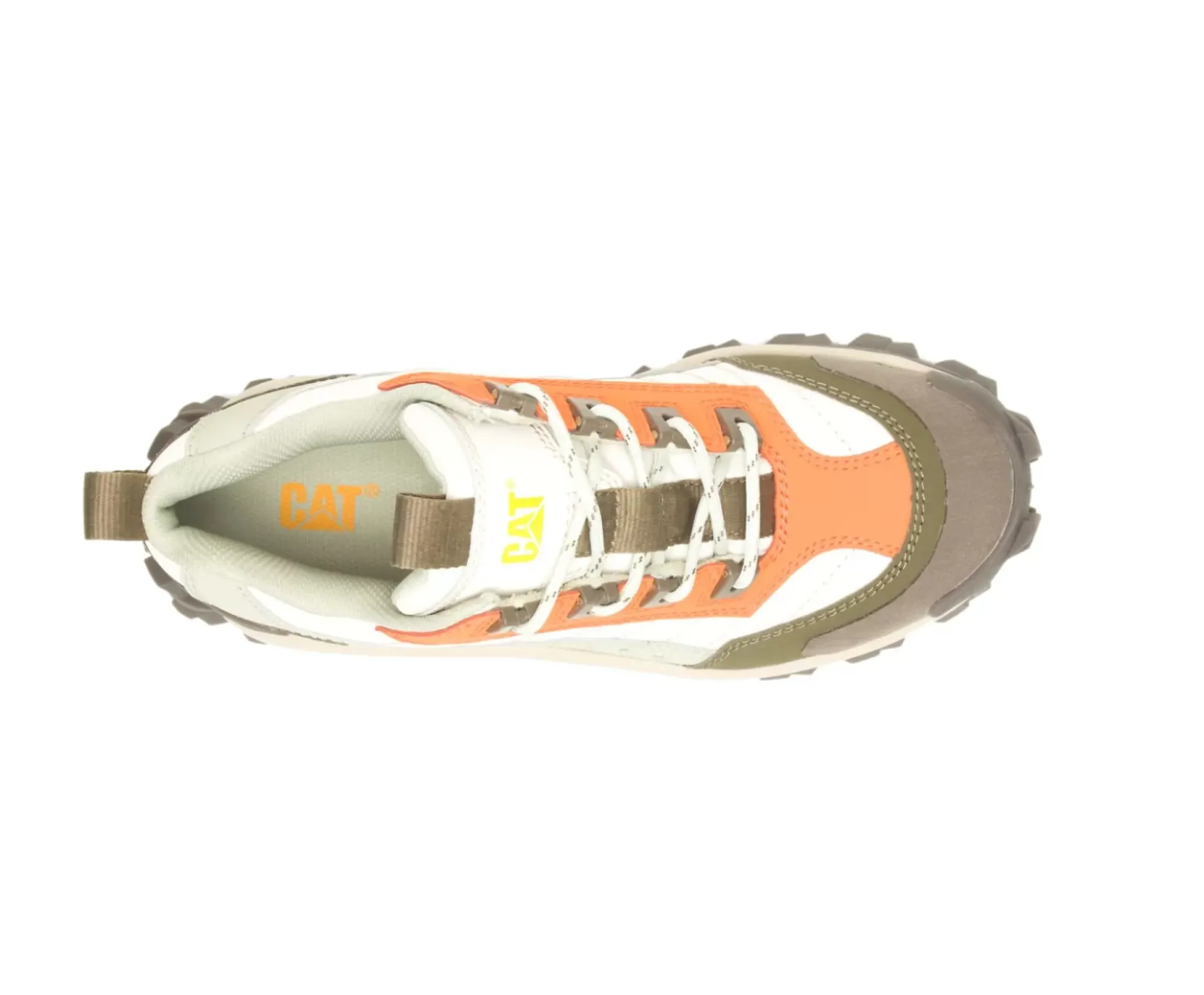Intruder Shoe