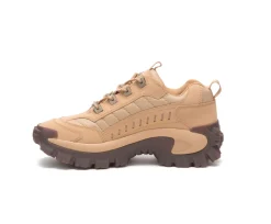Intruder Shoe