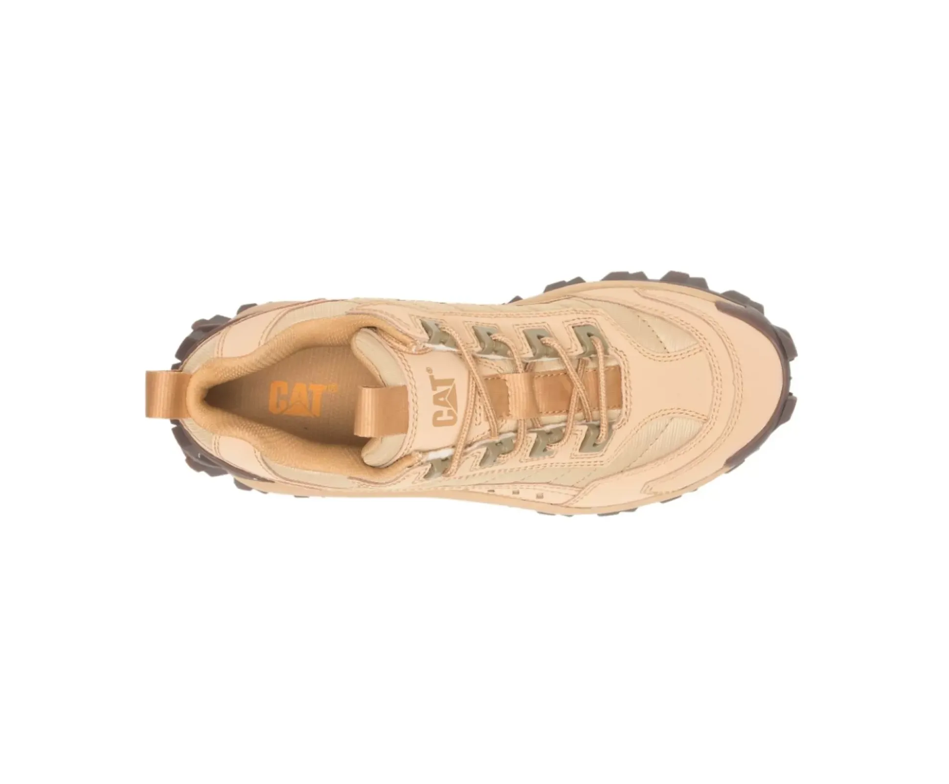 Intruder Shoe