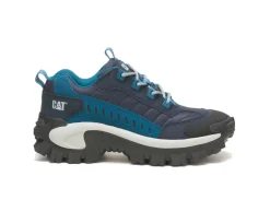 Intruder Shoe