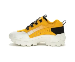 Intruder Shoe