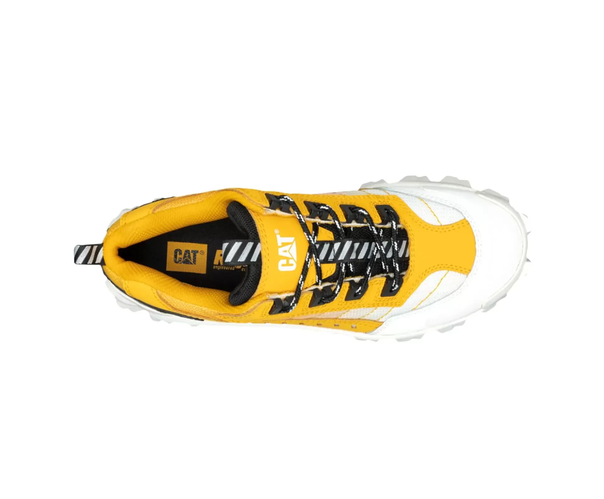 Intruder Shoe