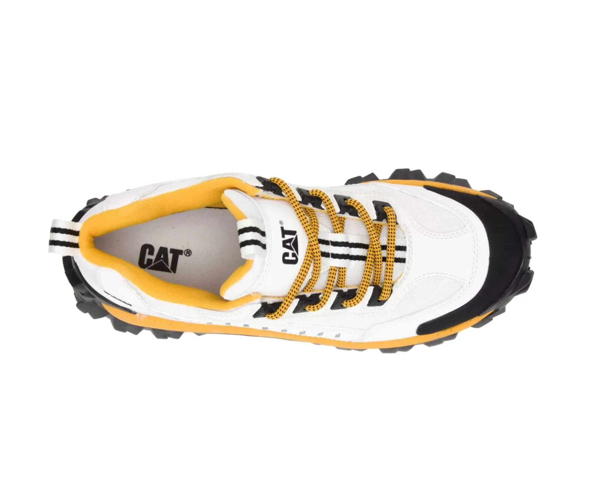 Intruder Shoe