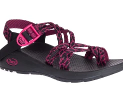 Zx/2 Cloud